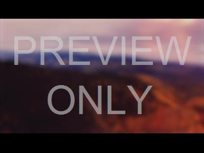 THANKSGIVING FLIGHT HILLS BLUR STILL