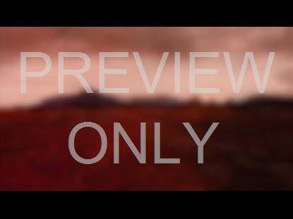 THANKSGIVING FLIGHT LOW BLUR STILL