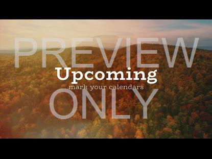 THANKSGIVING FLIGHT UPCOMING STILL