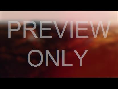 THANKSGIVING FLIGHT VISTA BLUR STILL