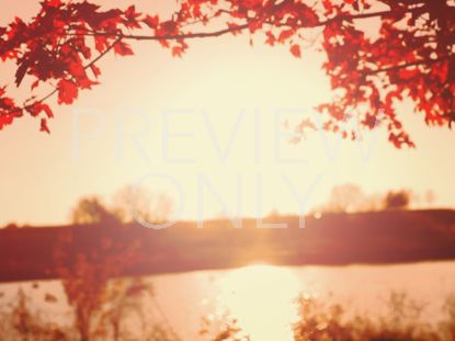 THANKSGIVING LIGHT LAKE STILL