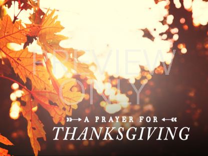 THANKSGIVING LIGHT PRAYER STILL