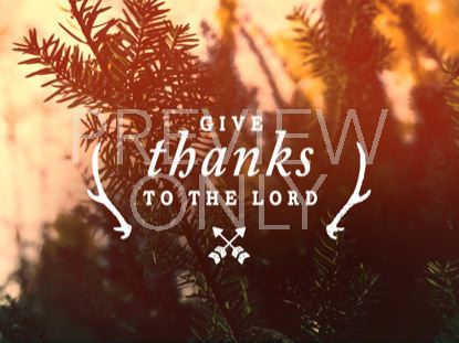 THANKSGIVING LIGHT THANKS STILL