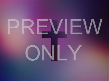 VIBRANT CROSSES FLUID STILL