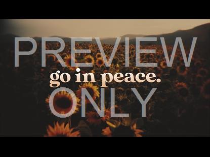 VINTAGE SUNFLOWERS EXIT STILL