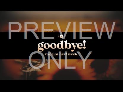 VINTAGE SUNFLOWERS EXIT STREAM STILL