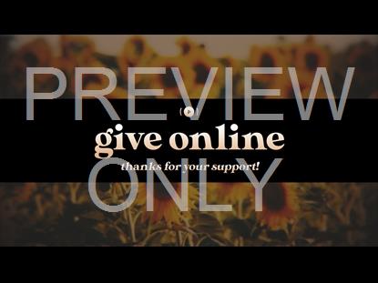 VINTAGE SUNFLOWERS GIVE STREAM STILL