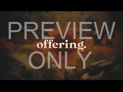 VINTAGE SUNFLOWERS OFFERING STILL