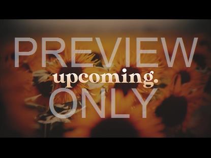 VINTAGE SUNFLOWERS UPCOMING STILL