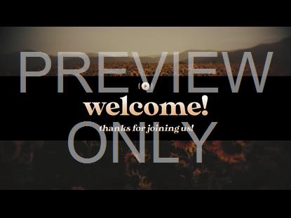 VINTAGE SUNFLOWERS WELCOME STREAM STILL