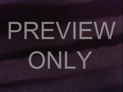 WEDDING DAY SUBDUED DARK STILL