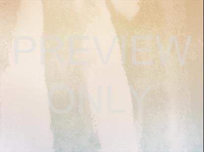 WEDDING DAY SUBTLE STILL