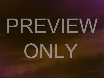 WEDDING DAY WARM DARK STILL