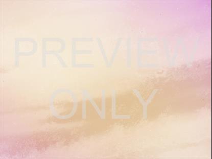 WEDDING DAY WARM STILL