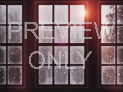 WINTER WINDOWS FROSTED STILL