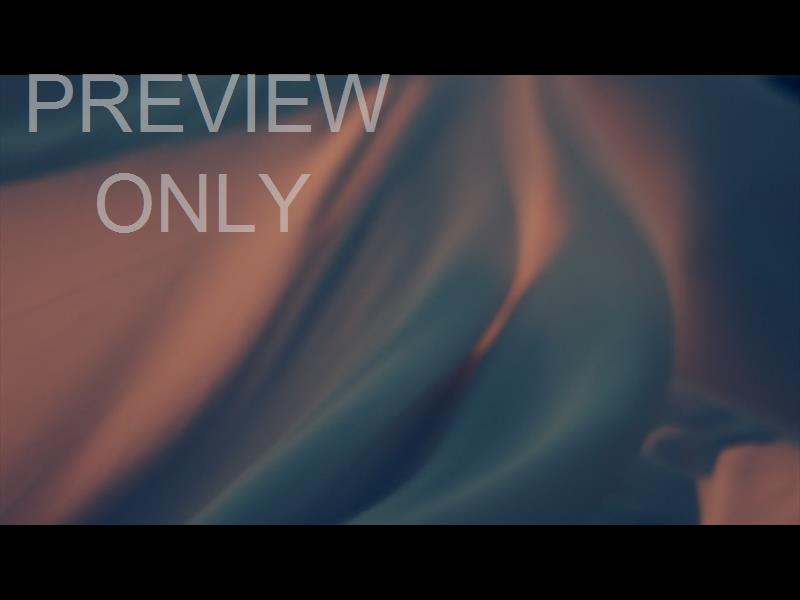 BANNER FLOW SLIDE 07