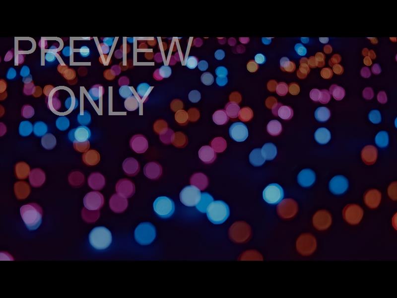 CHRISTMAS LIGHTS: 06 STILL