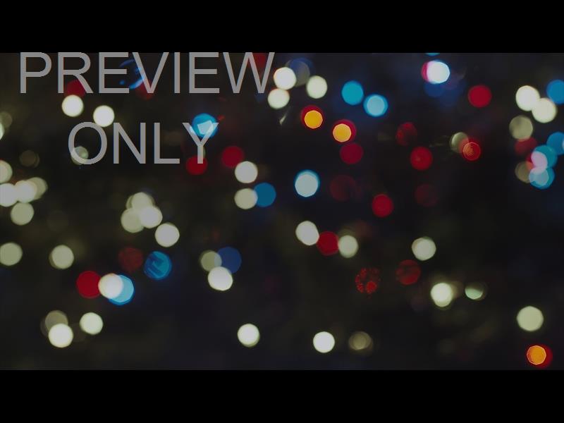 CHRISTMAS LIGHTS: 08 STILL