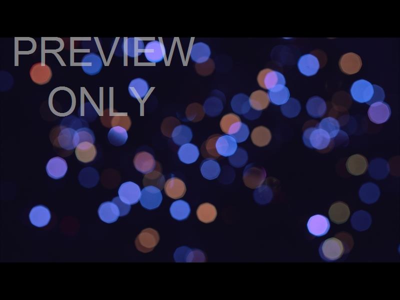 CHRISTMAS LIGHTS: 11 STILL