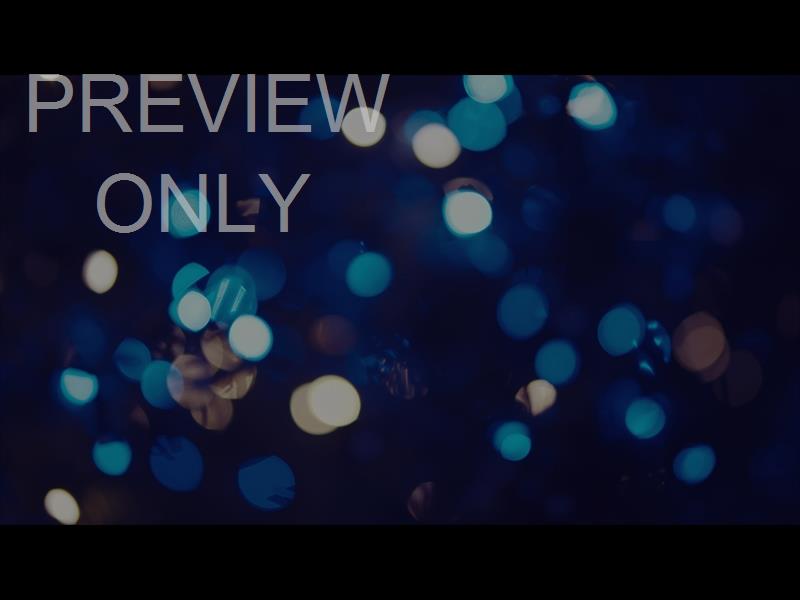 CHRISTMAS LIGHTS: 12 STILL