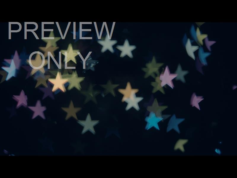 CHRISTMAS LIGHTS: 14 STILL