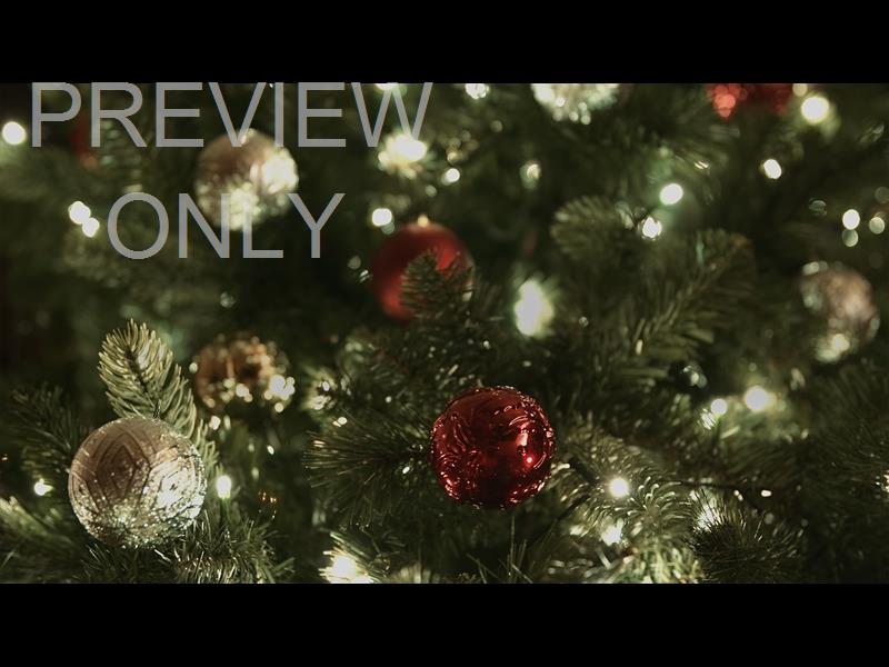 CHRISTMAS LIGHTS II: 01 STILL