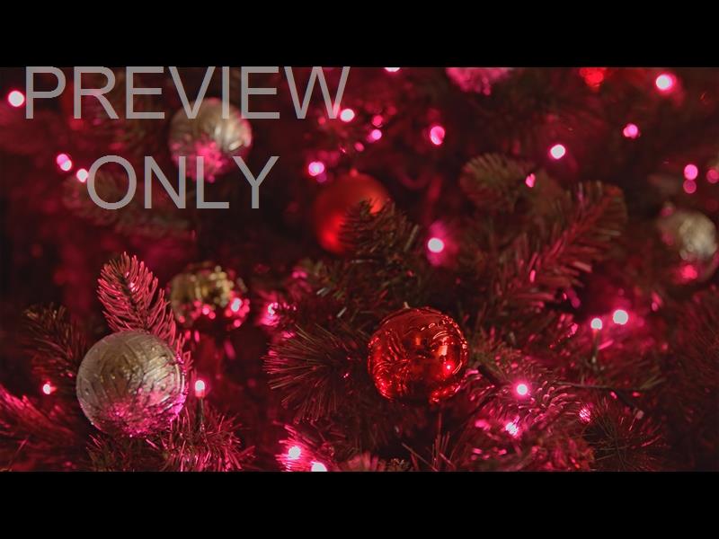 CHRISTMAS LIGHTS II: 03 STILL