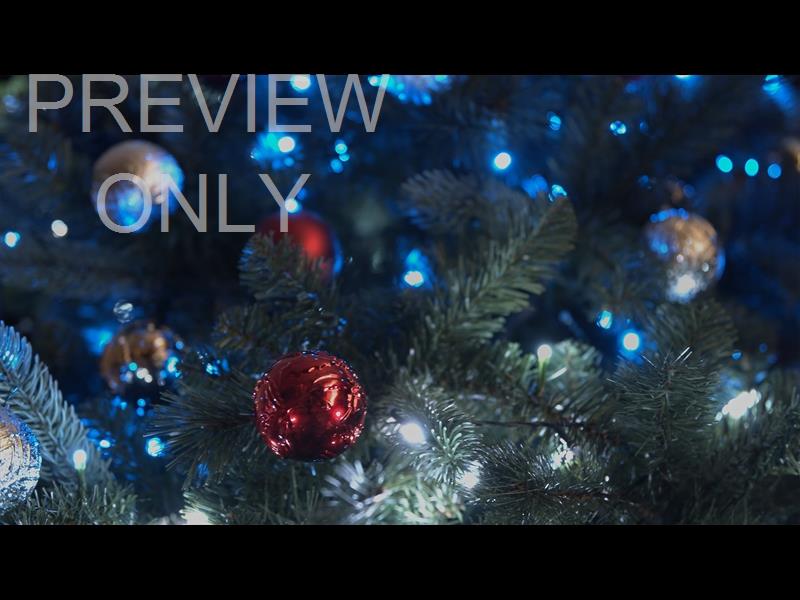 CHRISTMAS LIGHTS II: 06 STILL