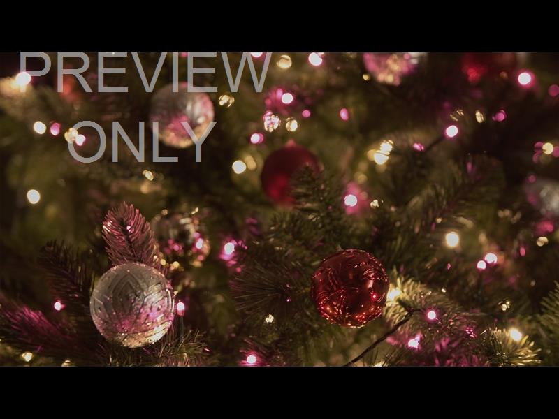 CHRISTMAS LIGHTS II: 07 STILL