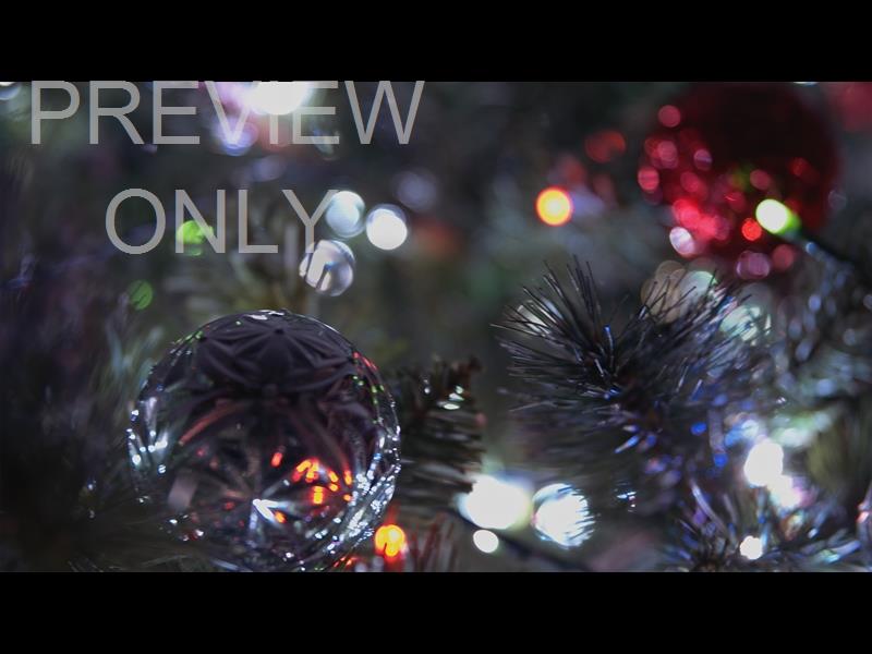 CHRISTMAS LIGHTS II: 08 STILL