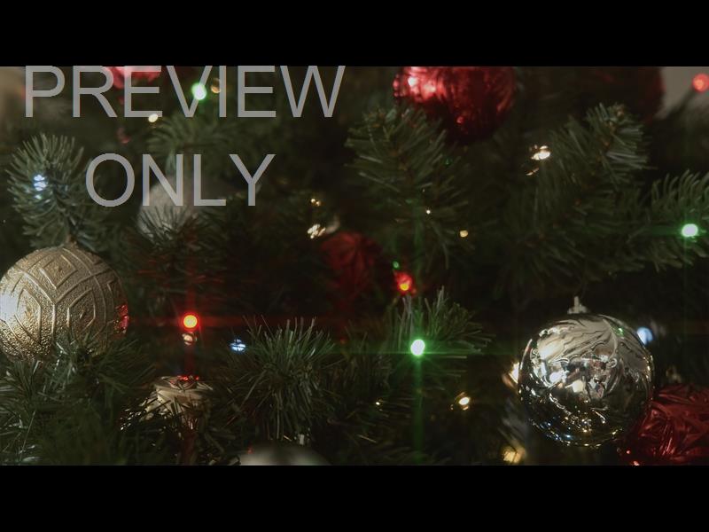 CHRISTMAS LIGHTS II: 10 STILL