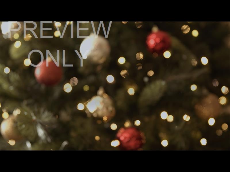 CHRISTMAS LIGHTS II: 11 STILL