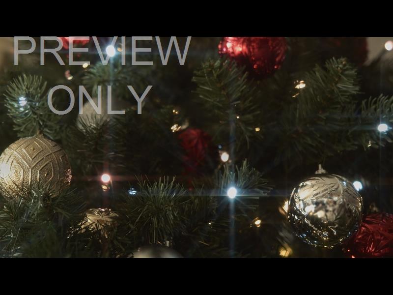 CHRISTMAS LIGHTS II: 13 STILL