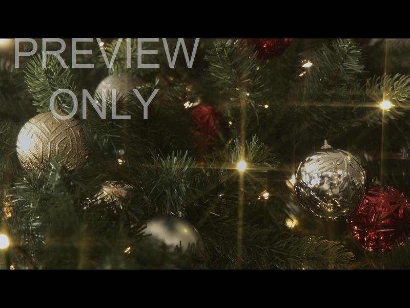 CHRISTMAS LIGHTS II: 14 STILL