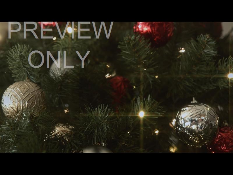 CHRISTMAS LIGHTS II: 16 STILL