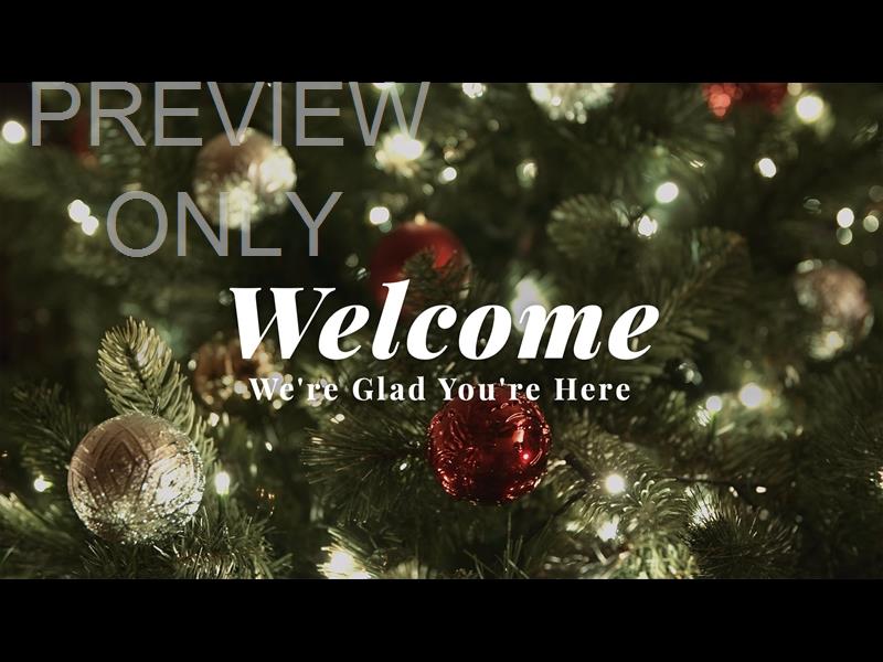 CHRISTMAS LIGHTS II: WE'RE GLAD YOU'RE HERE STILL