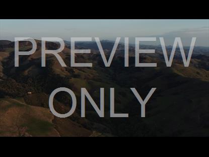 GREEN VALLEY 11 STILL