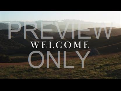 GREEN VALLEY - WELCOME STILL