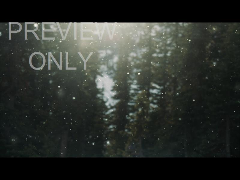 SNOW SHIMMER: 04 STILL