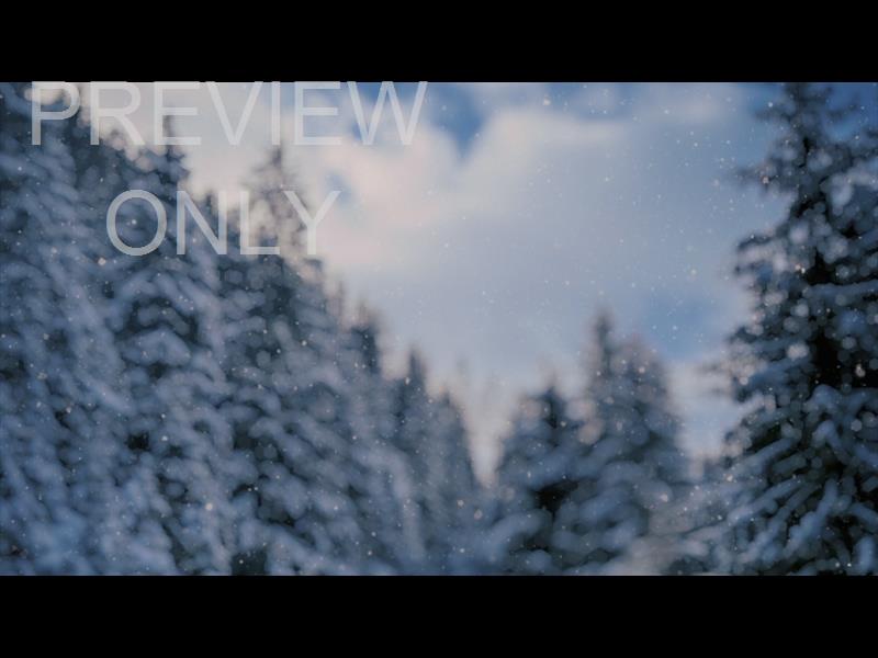 SNOW SHIMMER: 06 STILL