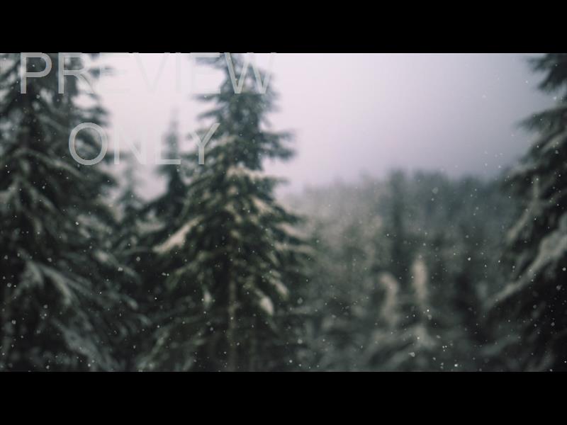 SNOW SHIMMER: 08 STILL