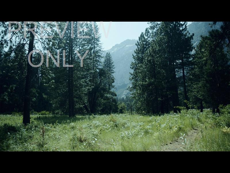 YOSEMITE MEADOWS STILL - 16