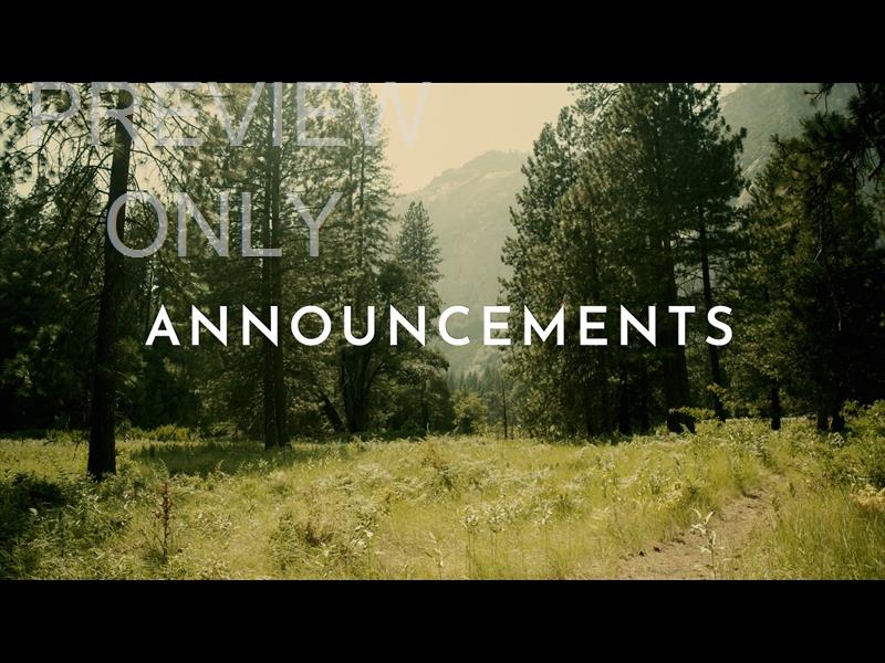 YOSEMITE MEADOWS STILL - ANNOUNCEMENTS