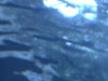 UNDERWATER 2