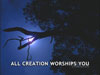 ALL CREATION WORSHIPS YOU